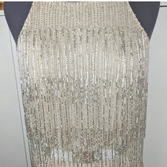 Adrianna Papell Gatsby drop waist fringed beaded sleeveless long dress - Picture 11 of 15